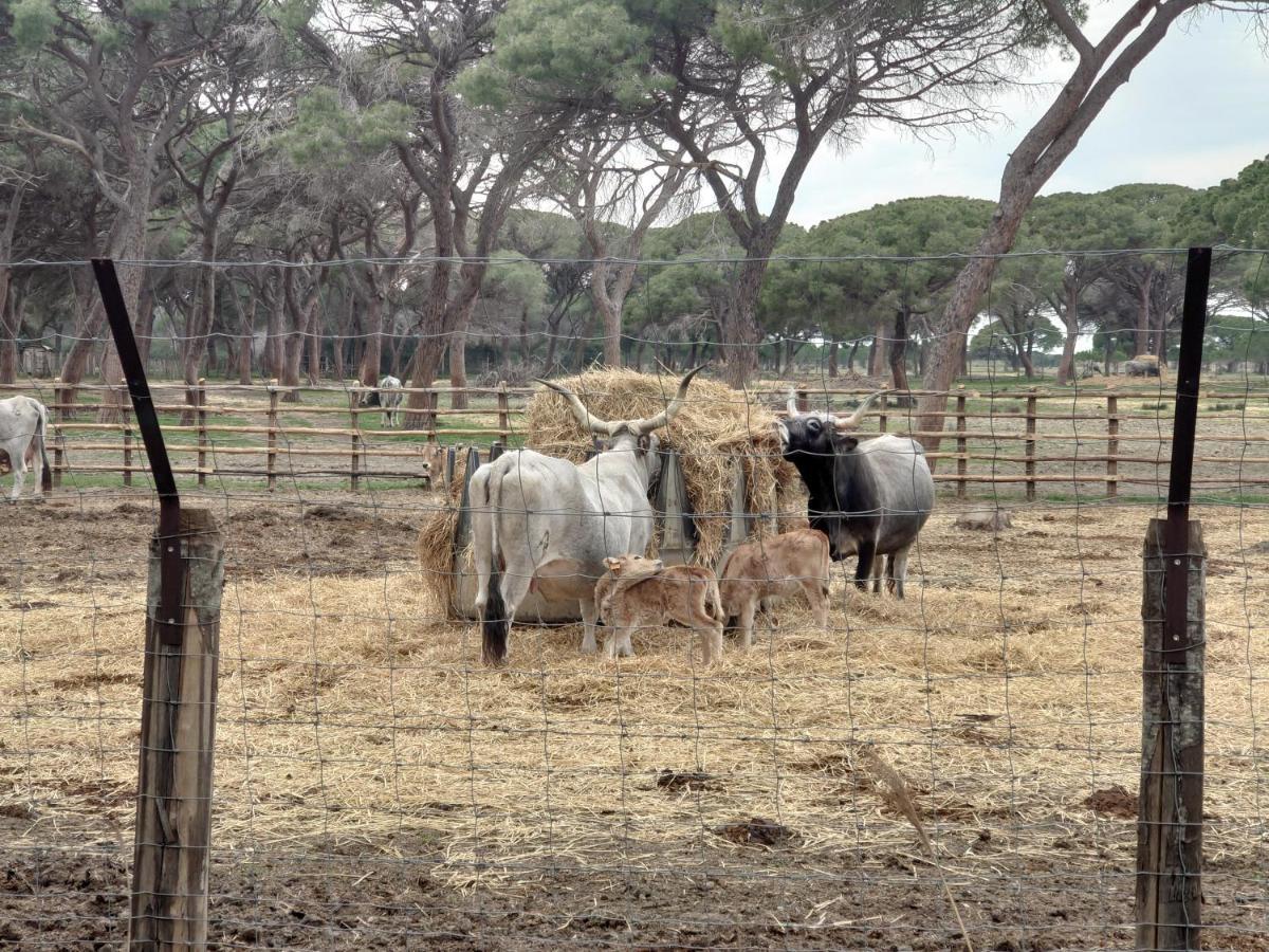 Agriturismo Poderedodici Orbetello Luaran gambar