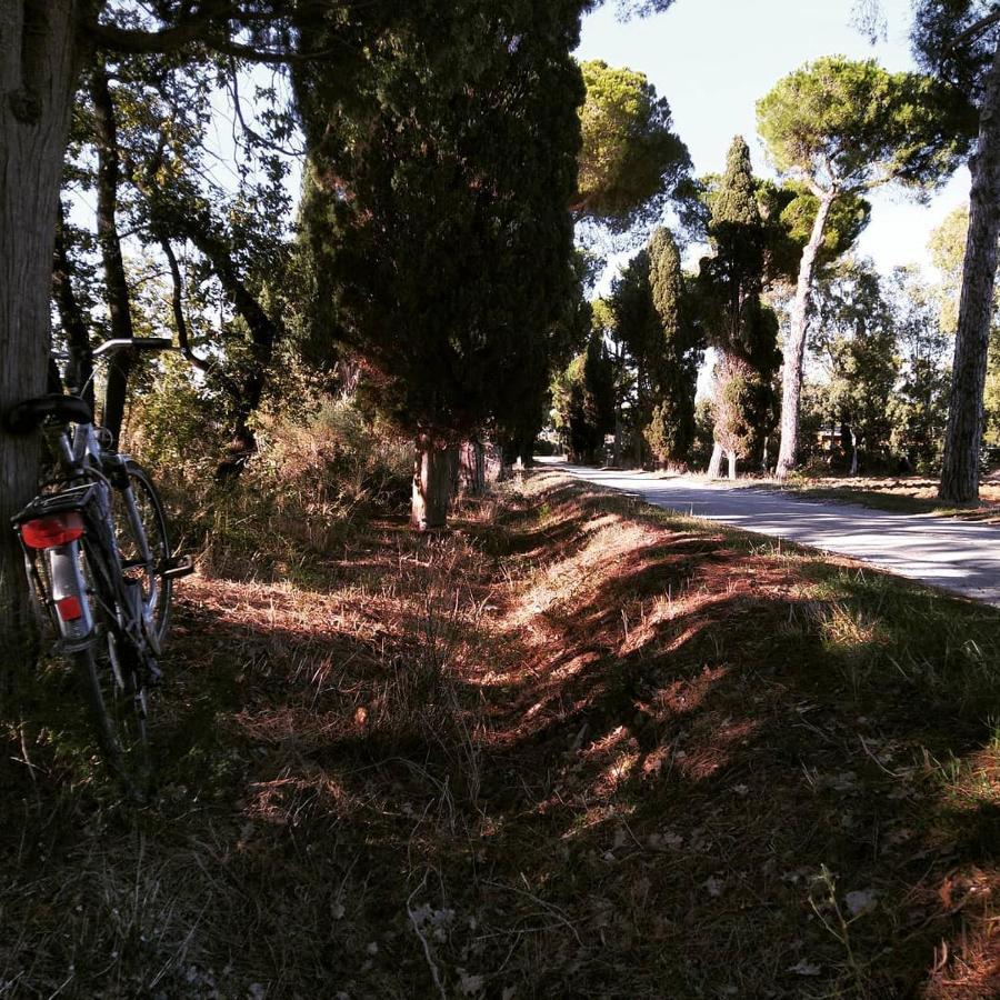 Agriturismo Poderedodici Orbetello Luaran gambar